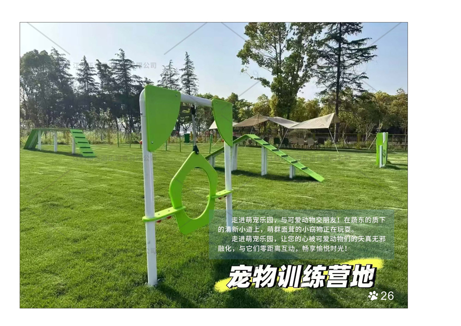宠物乐园设备28
